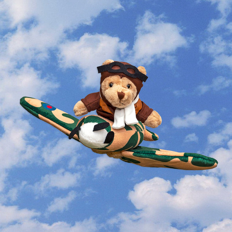 Bear in a Plane