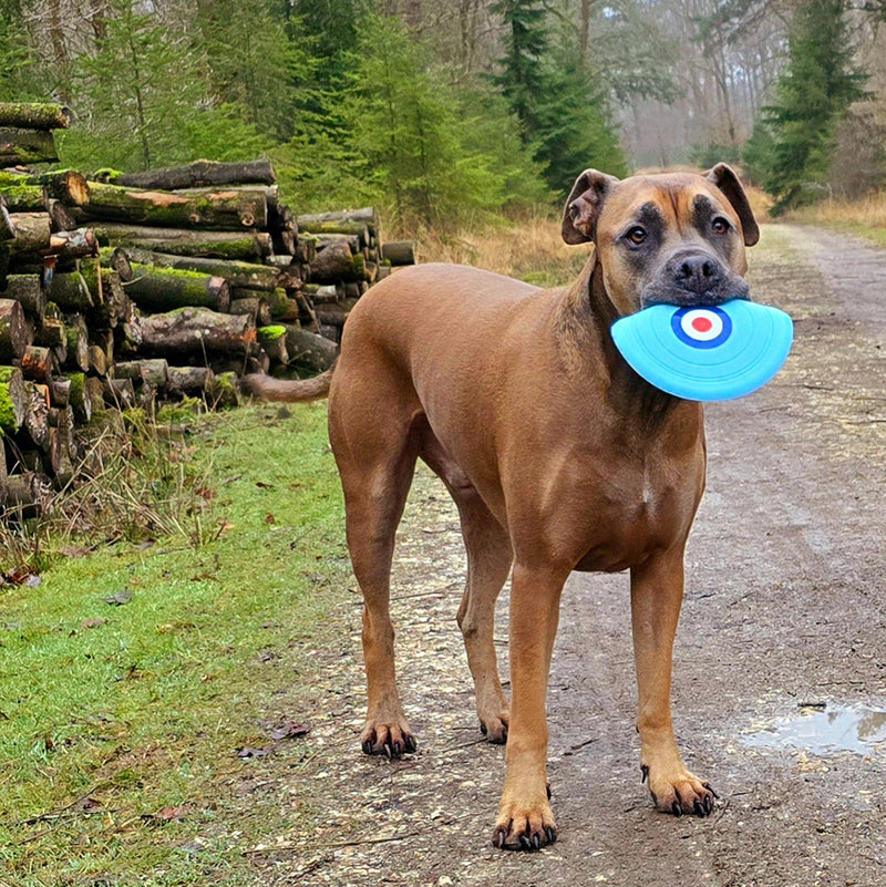 RAF Roundel Chewable Dog Frisbee