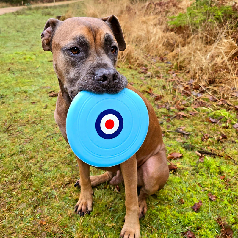 RAF Roundel Chewable Dog Frisbee