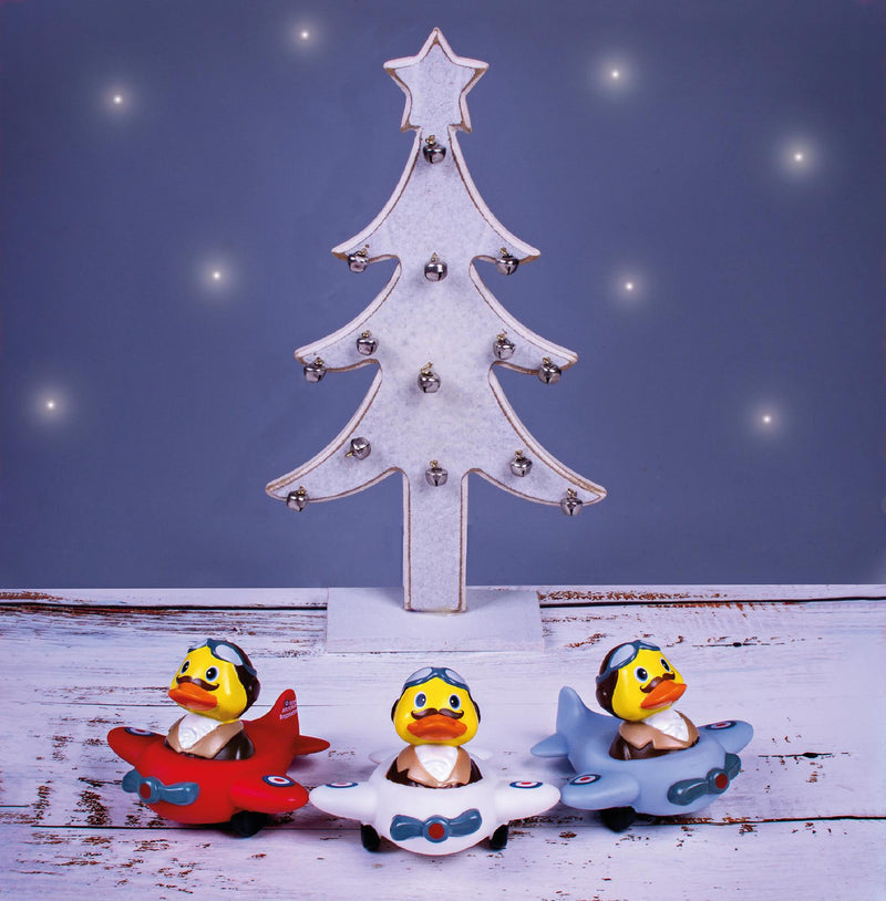 Ducks Christmas - Christmas Cards (Pk 10)